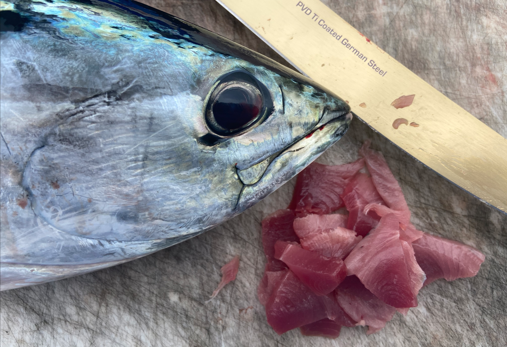 Eating False Albacore Raw: The Most Underrated Sashimi | Outdoor Life, image size:1638x1124