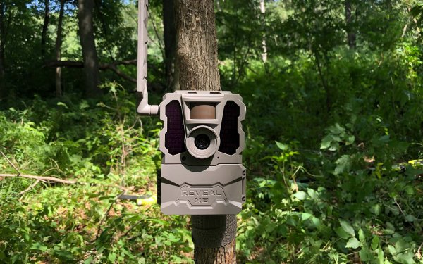 Is Hunting with Cellular Trail Cameras Fair Chase or Cheating?