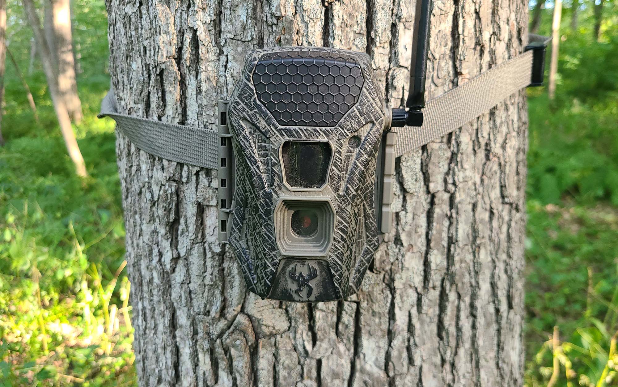 Best Cellular Trail Cameras of 2023, Tested Outdoor Life
