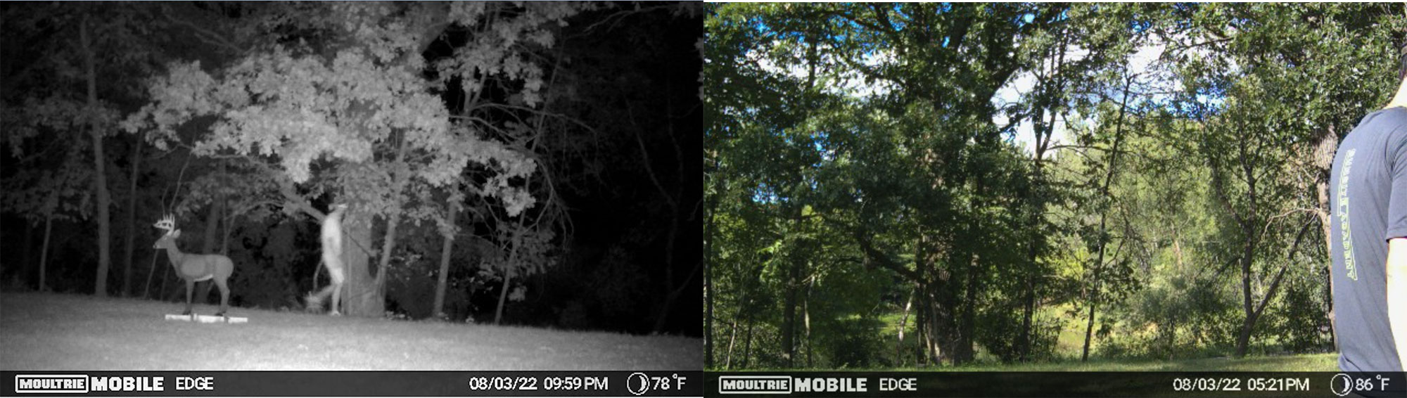 Moultrie mobile edge