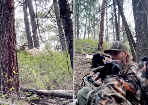 Watch: Bowhunter Arrows Bull that Rolls Downhill and Almost Crushes His Cameraman