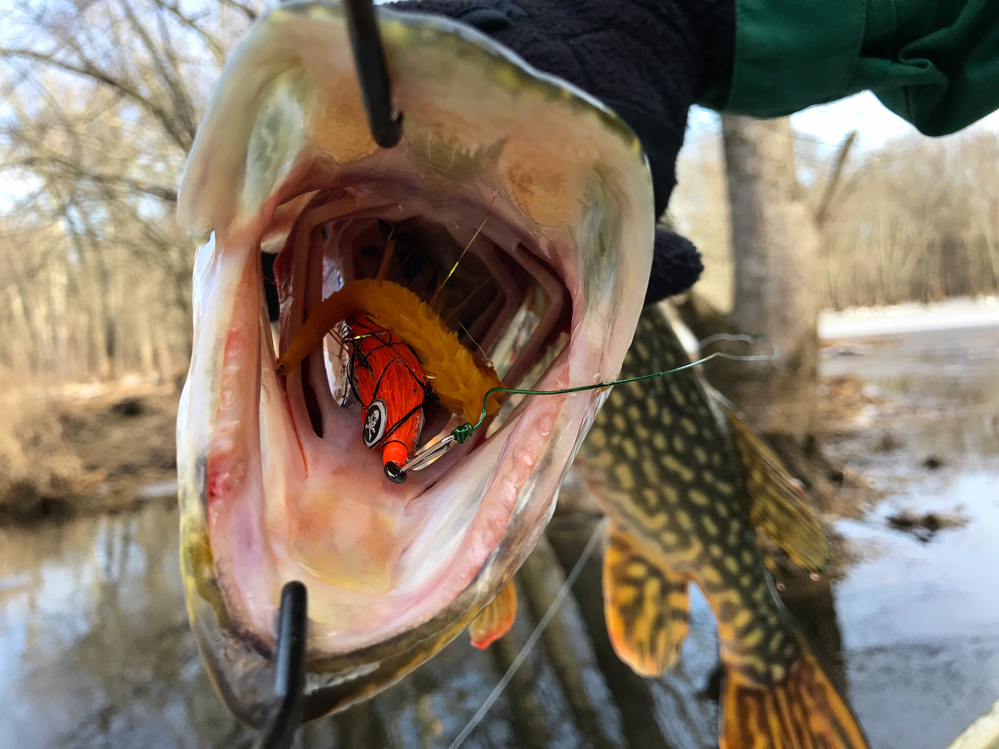 Fly Fishing with Pike Flies