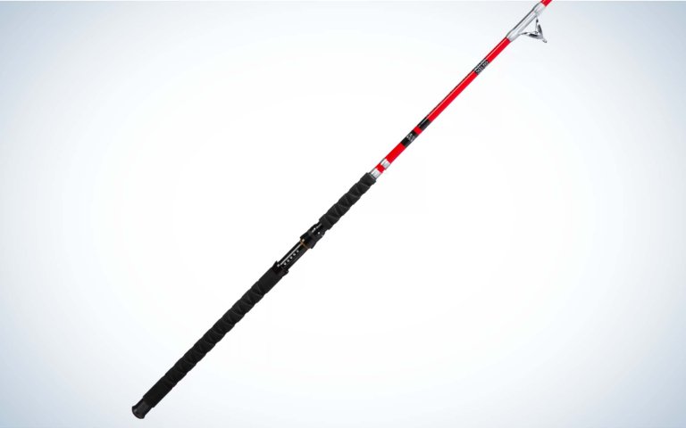 The B’n’M Silver Cat is the best catfish rod for kids.