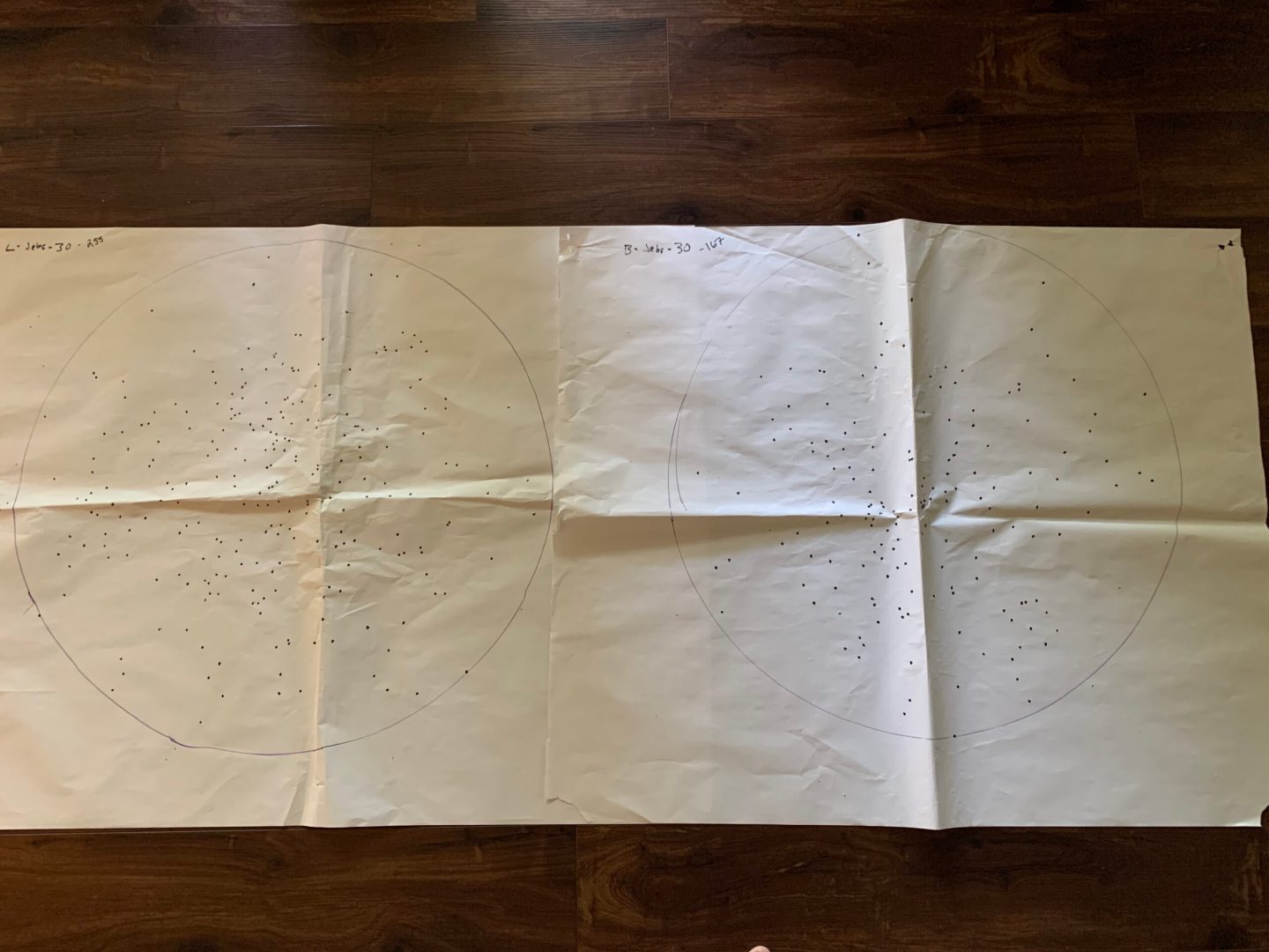 Best Chokes for Pheasant Hunting Outdoor Life