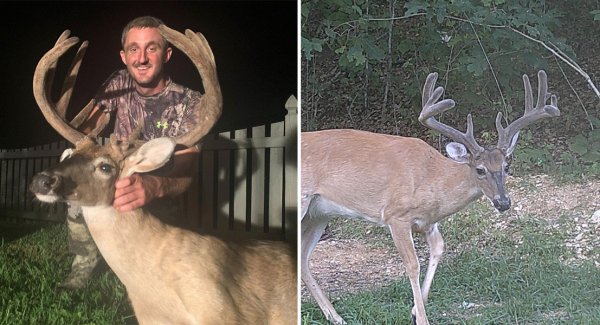 Crossbow Hunter Tags 175-Inch East Tennessee Buck in Velvet