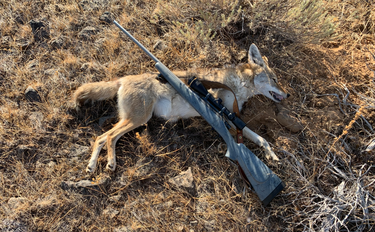 www.outdoorlife.com
