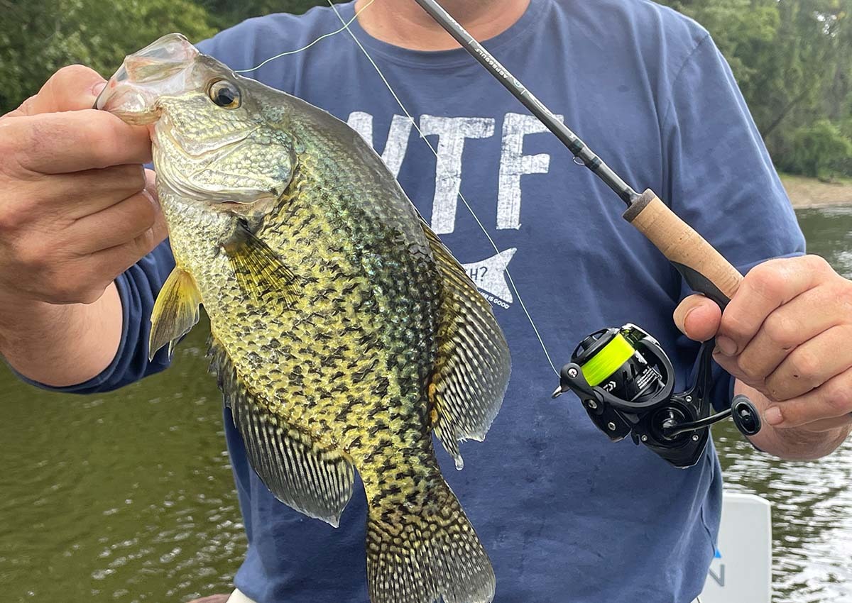 St. Croix Avid Panfish Spinning Rod 6'9 Ultra Light | ASPS69ULF