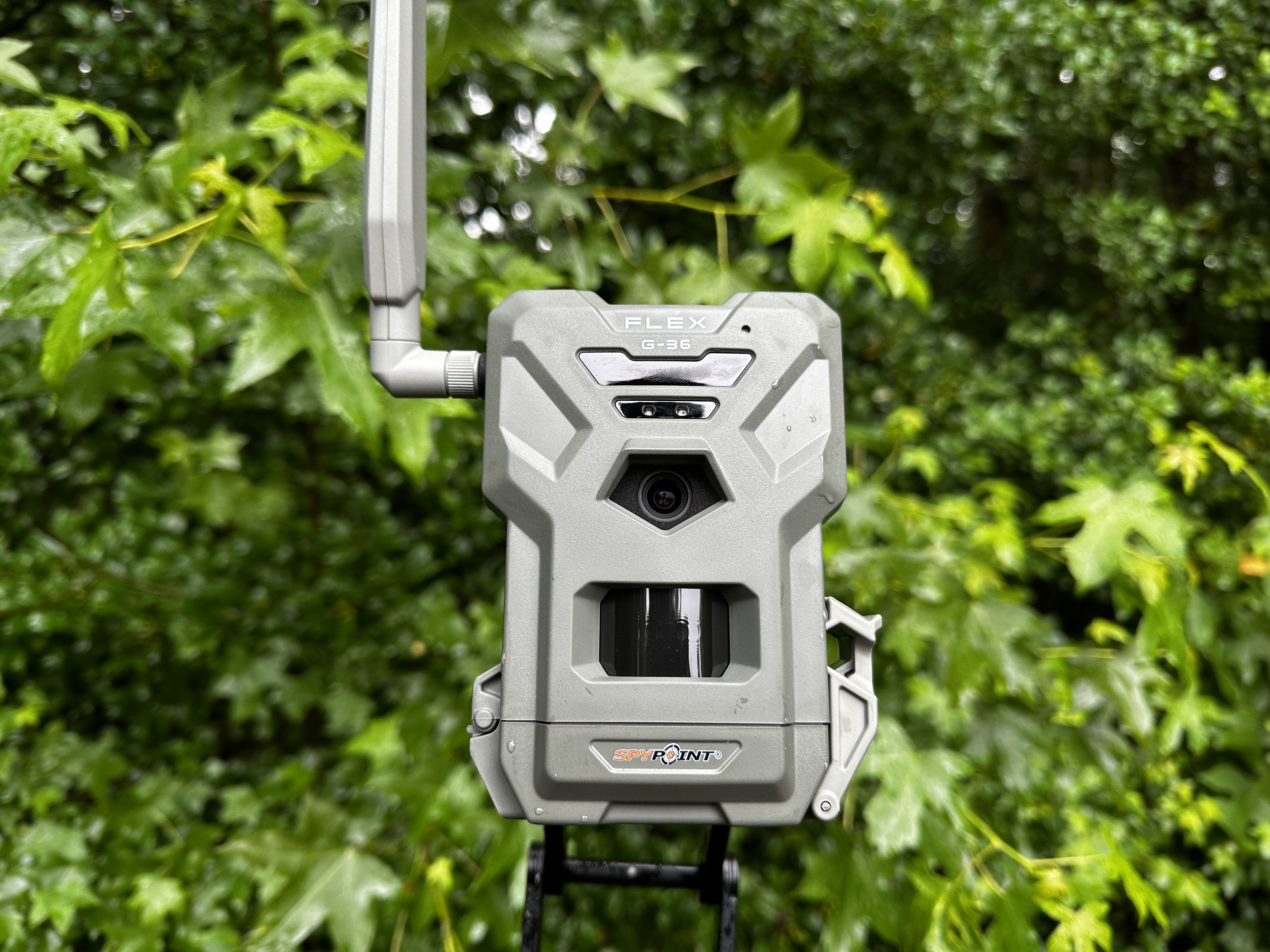 These Cellular Trail Cameras Are on Sale