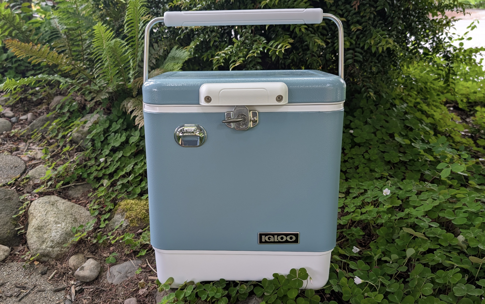 Igloo Legacy Cooler sitting against foliage