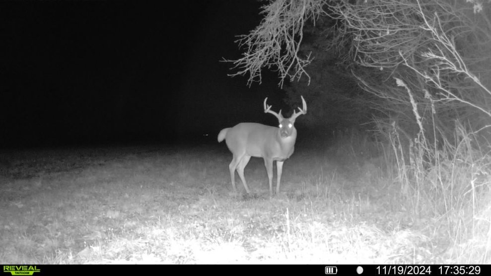 Prime Day Deals on Trail Cameras: Moultrie, Tactacam, and Batteries