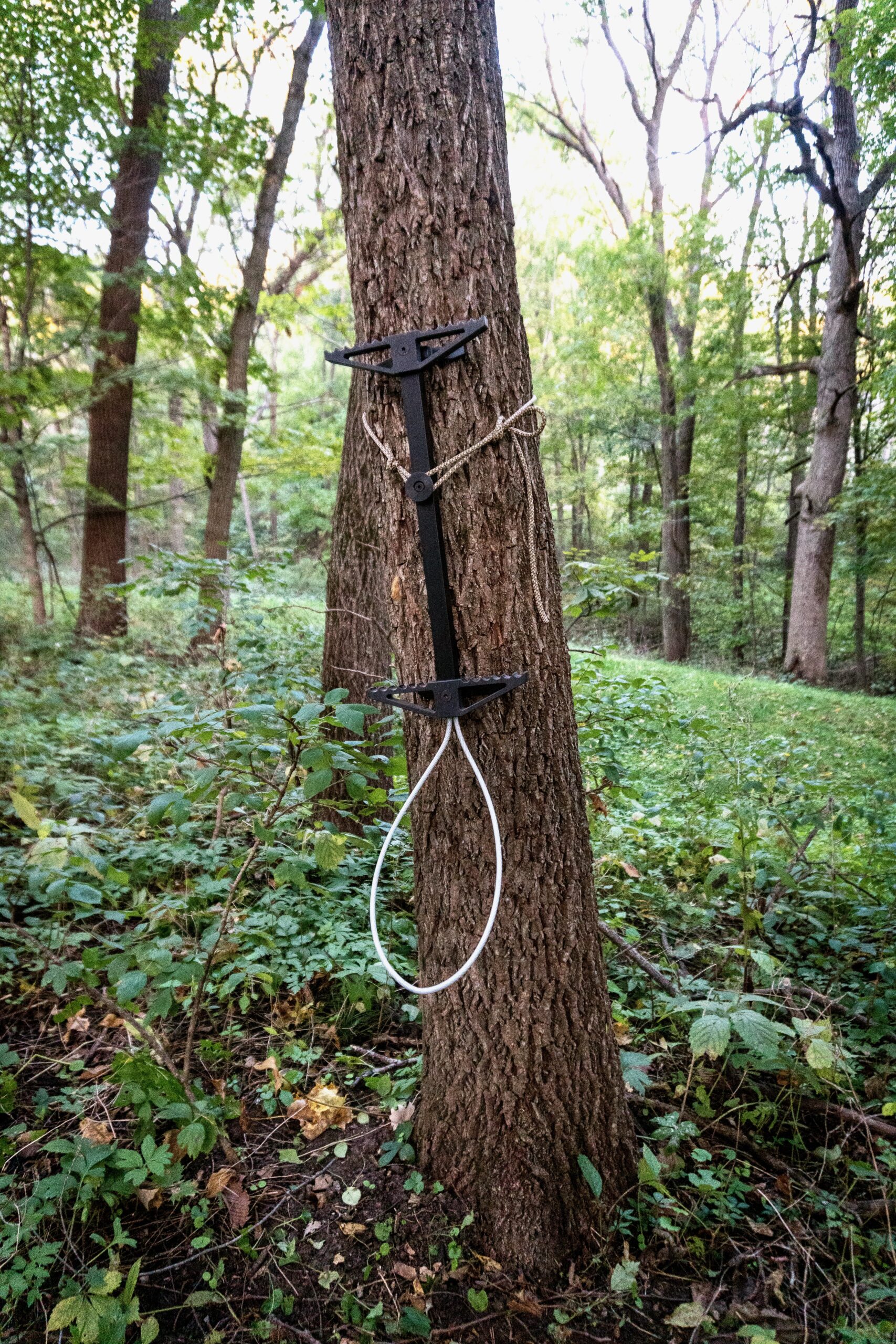 Best Climbing Sticks of 2023 Outdoor Life