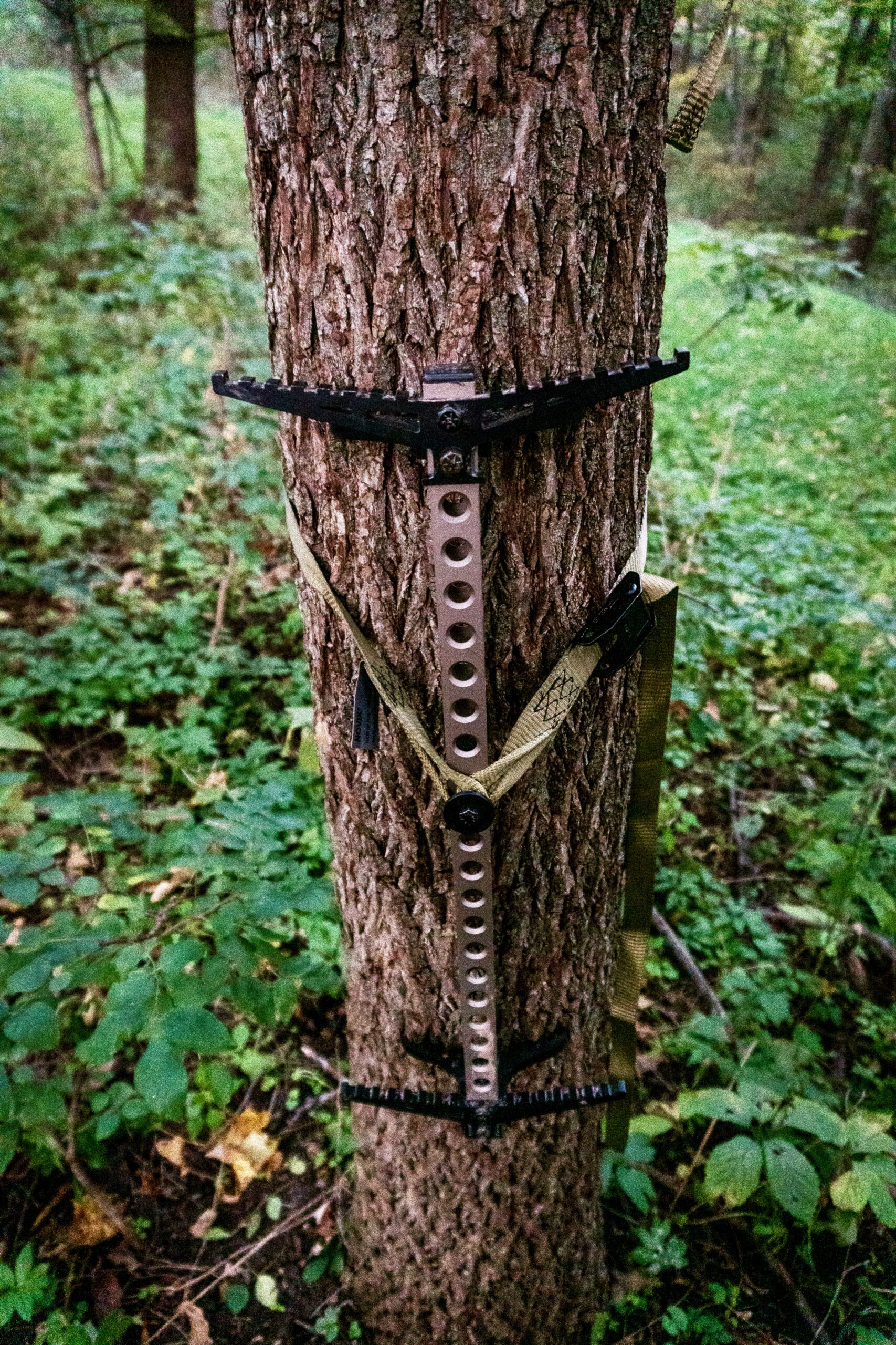 Climbing Sticks Tree Steps For Tree Stands & Lightweight Saddle Hunting