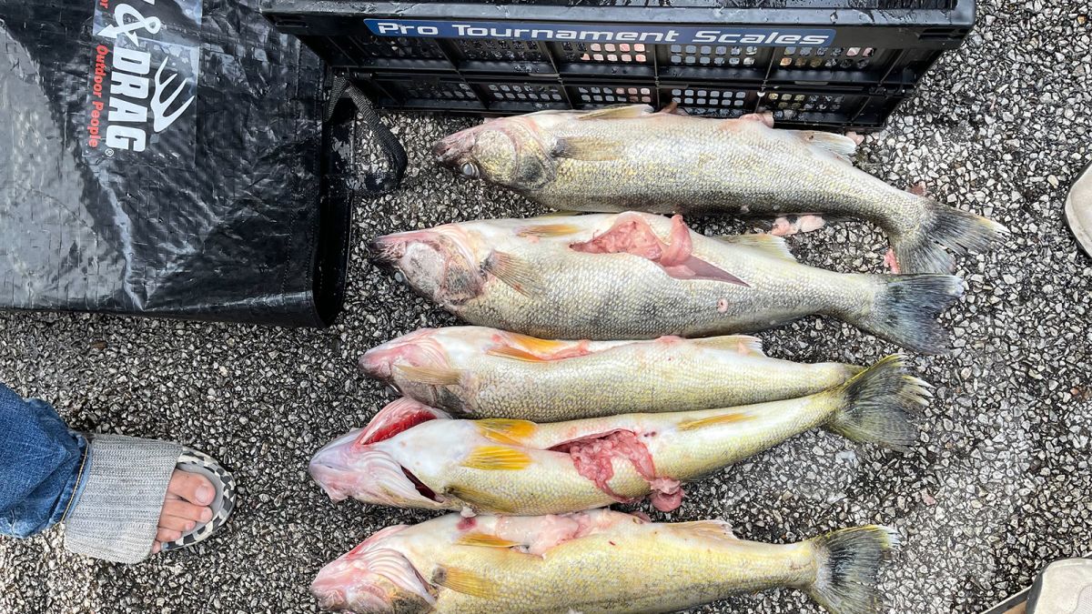 The Real Problem with the Walleye Tourney Cheating Scandal