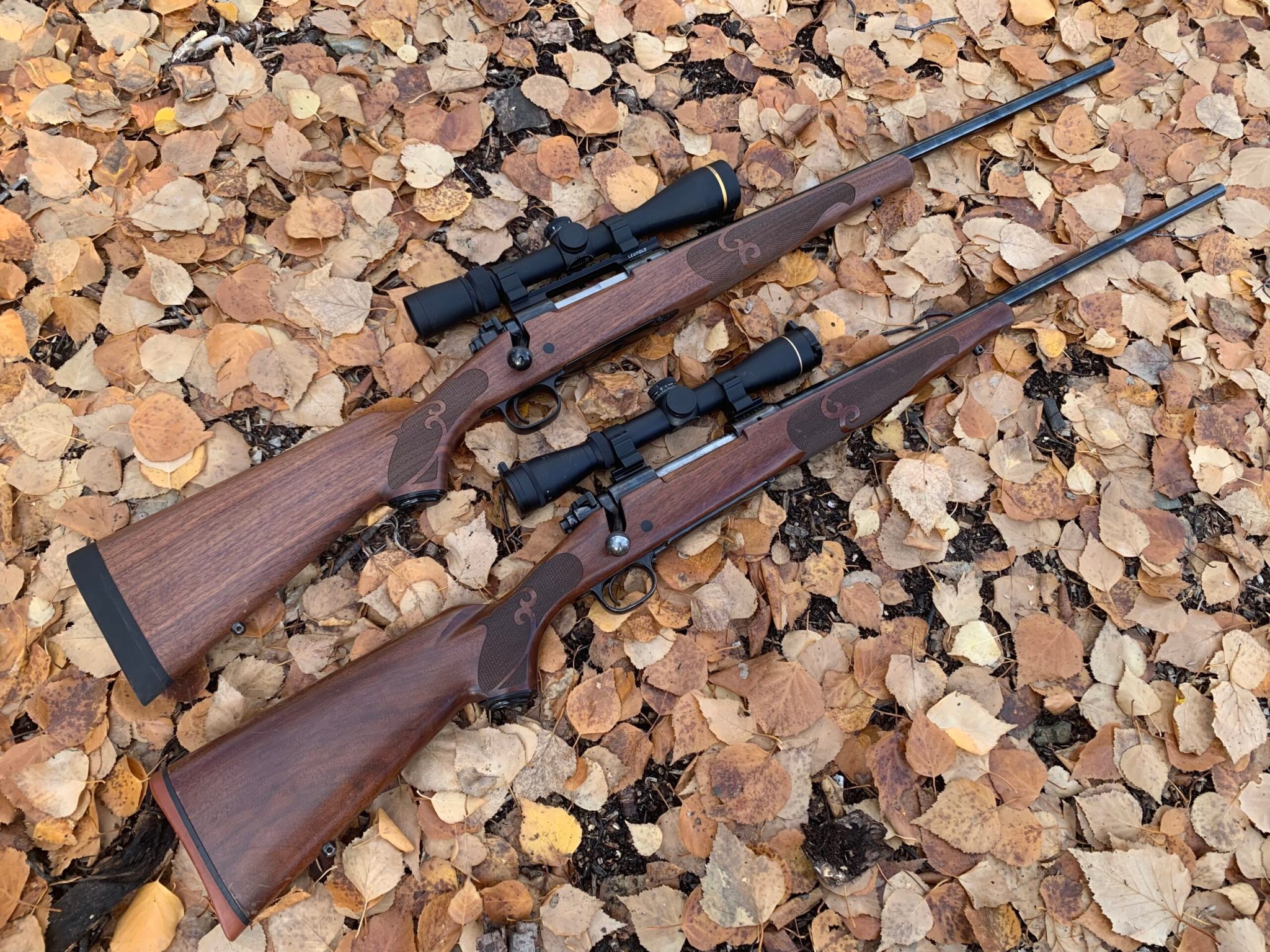 Model 70 view 2
