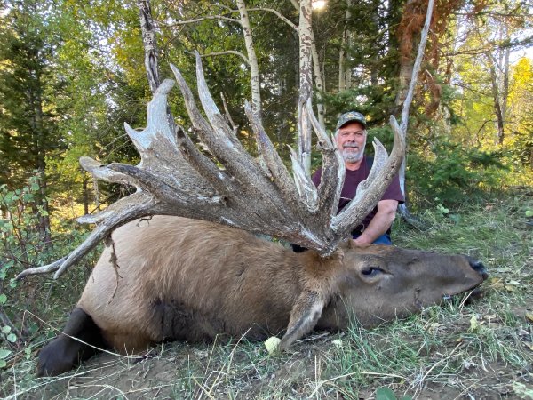 This High-Fence Bull Elk Could Break an SCI World Record. It Scores More Than 648 Inches