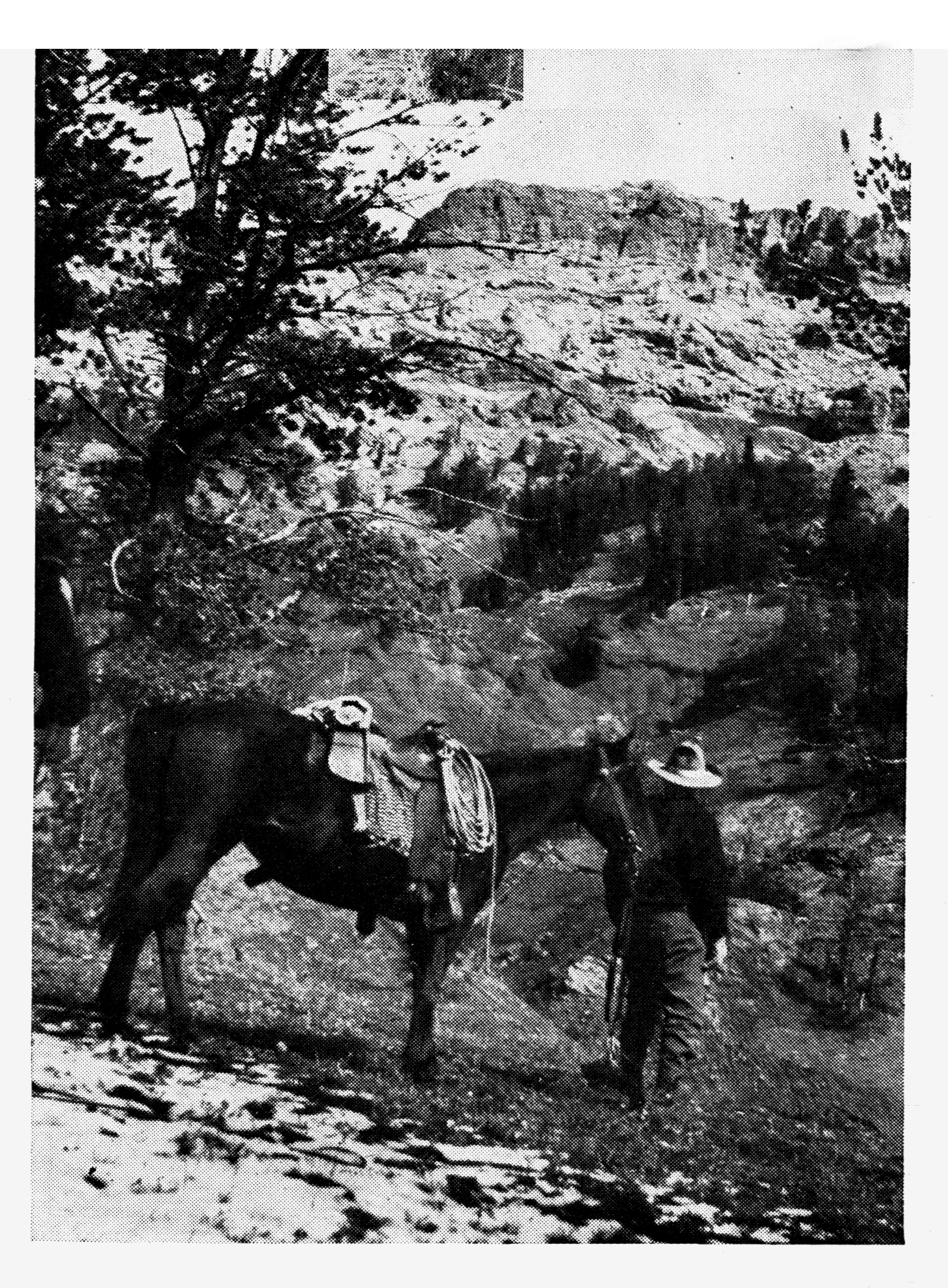 Charlie Elliot's elk hunt in Wyoming