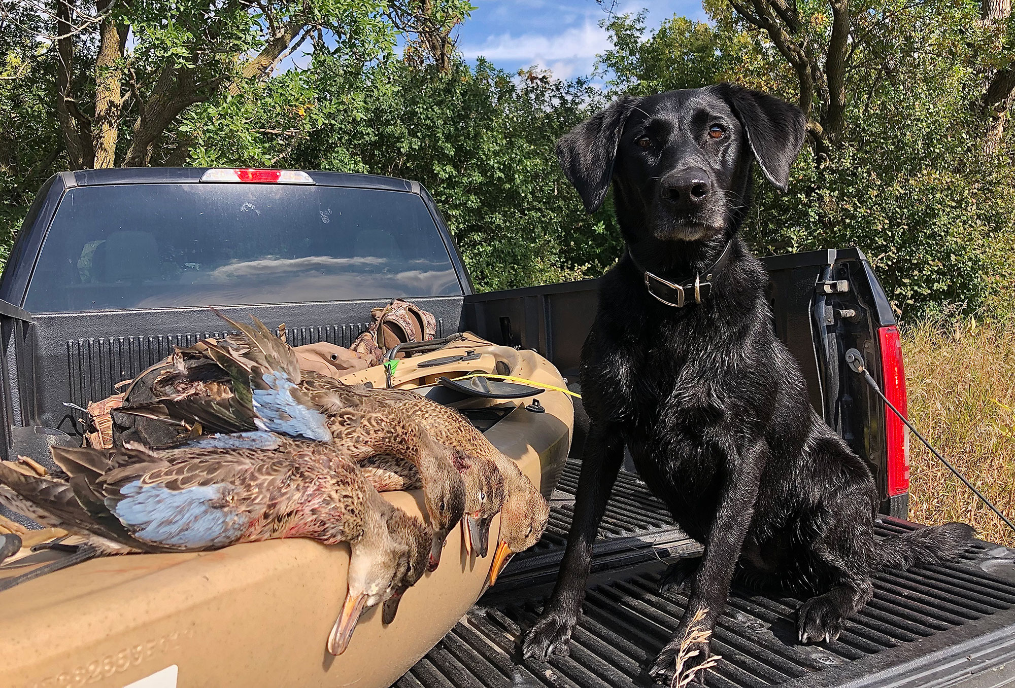 The 8 Best Tasting Game Birds Outdoor Life