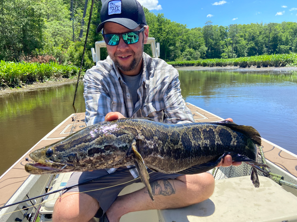 Catfish might be bottom-dwellers, but at Lake Gaston, you might