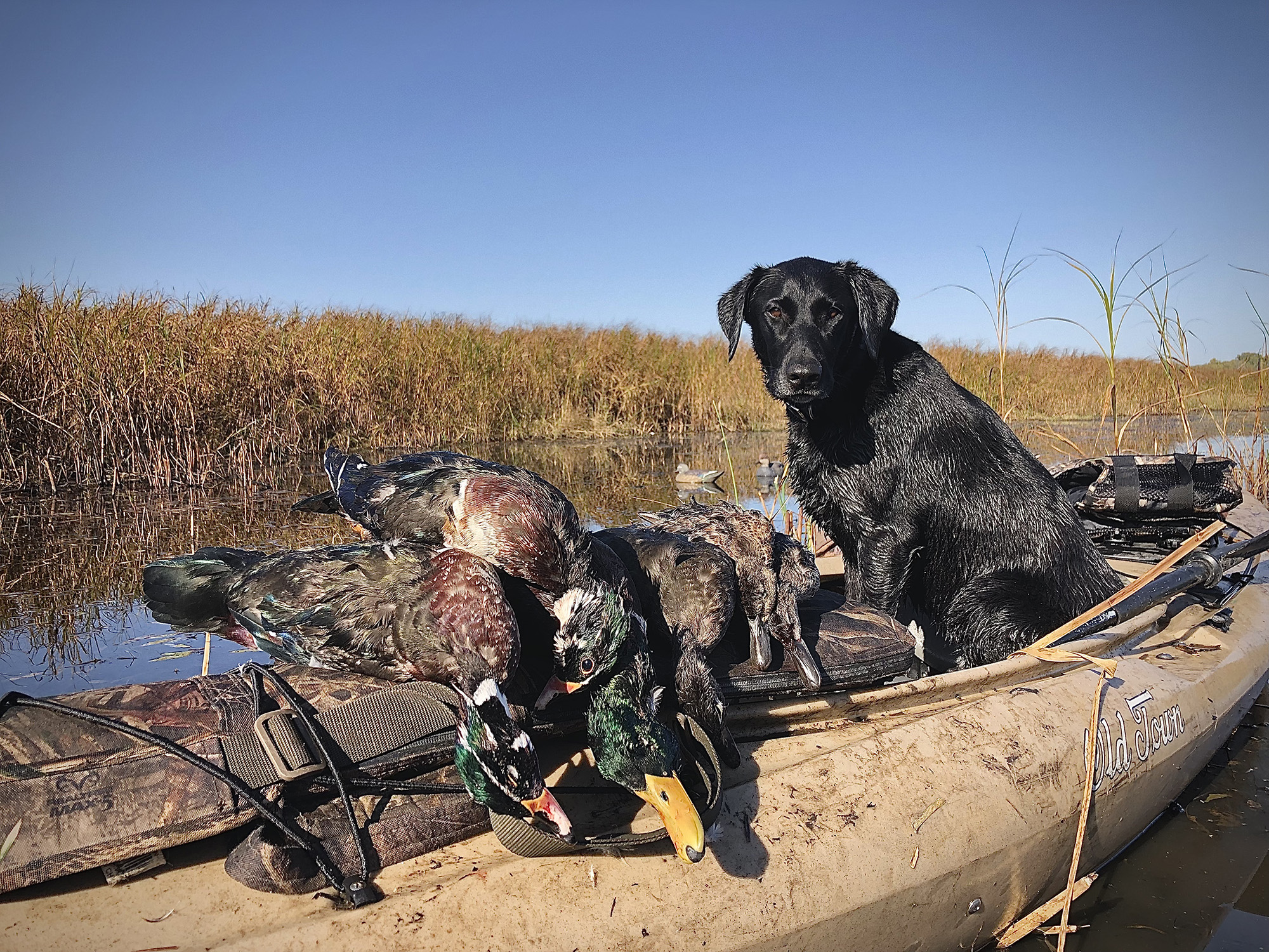 Duck Hunting from a Kayak Outdoor Life