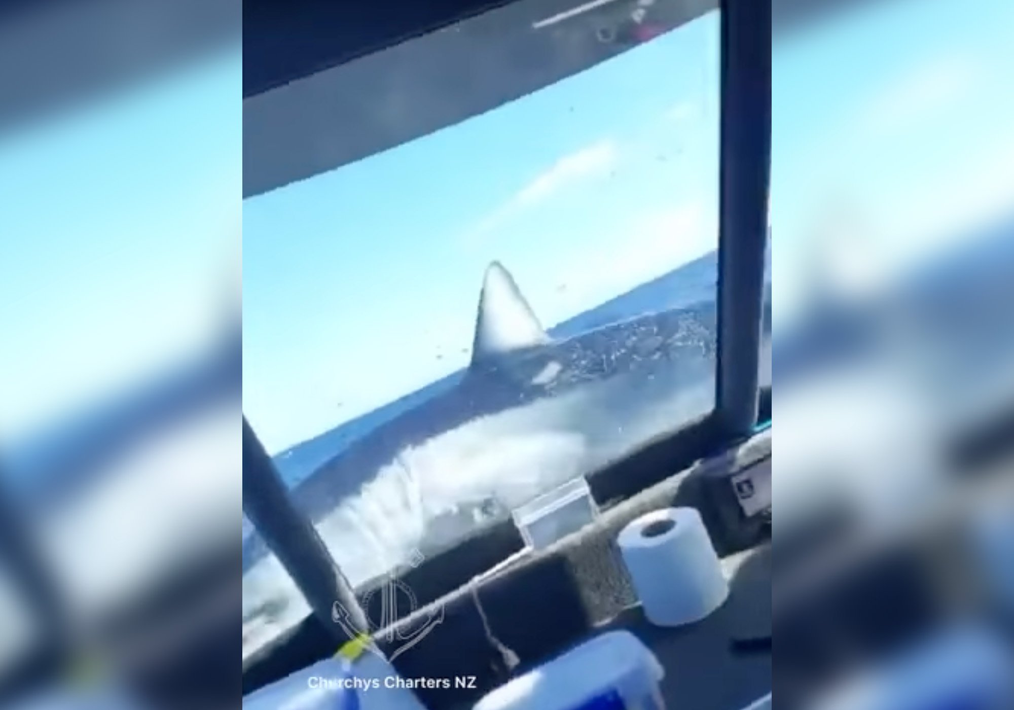 Mako Shark Jumping Into Boat