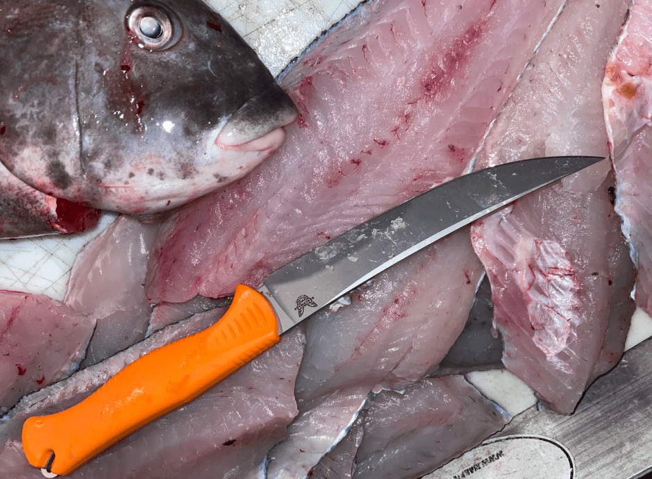 The Best Tasting Fish Species | Outdoor Life