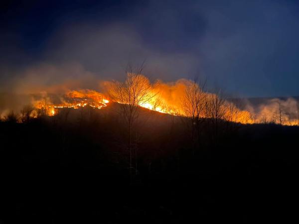 Rare, Late-Season Wildfires Burn Through the Heart of Pennsylvania's Elk Range