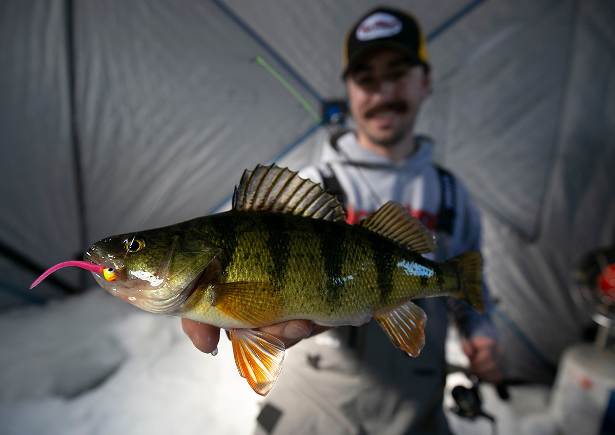 Best Ice Fishing Lures for Perch of 2023 Outdoor Life