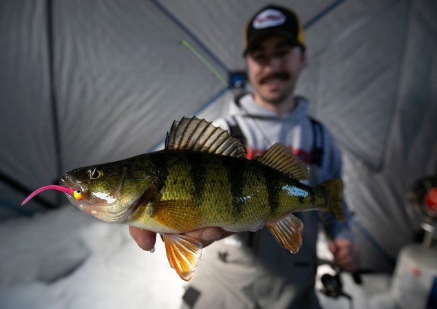 The Best Ice Fishing Lures for Perch of 2023