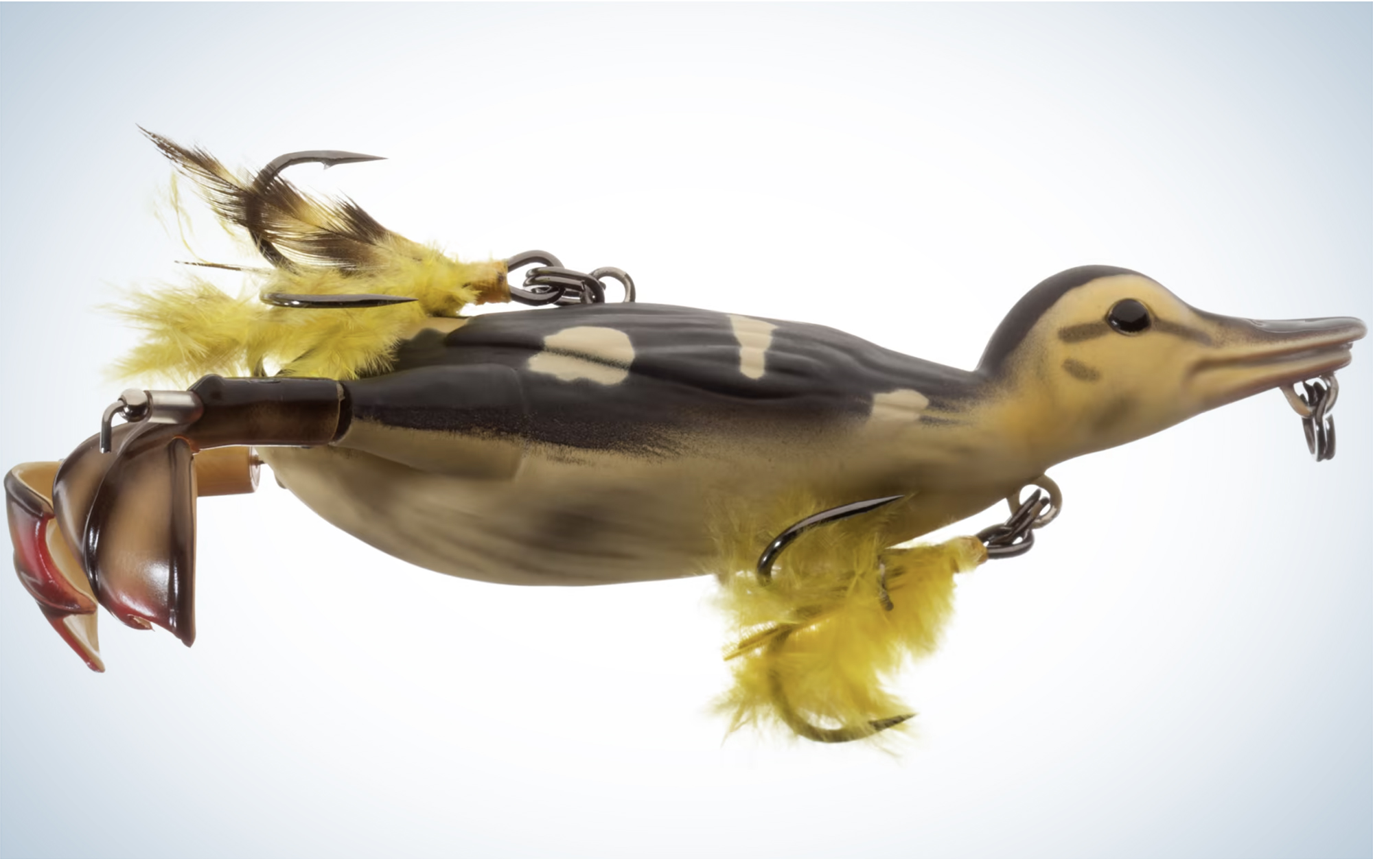 Do Duck Lures Actually Work? | Outdoor Life Do Duck Lures Actually Work? | Outdoor Life
