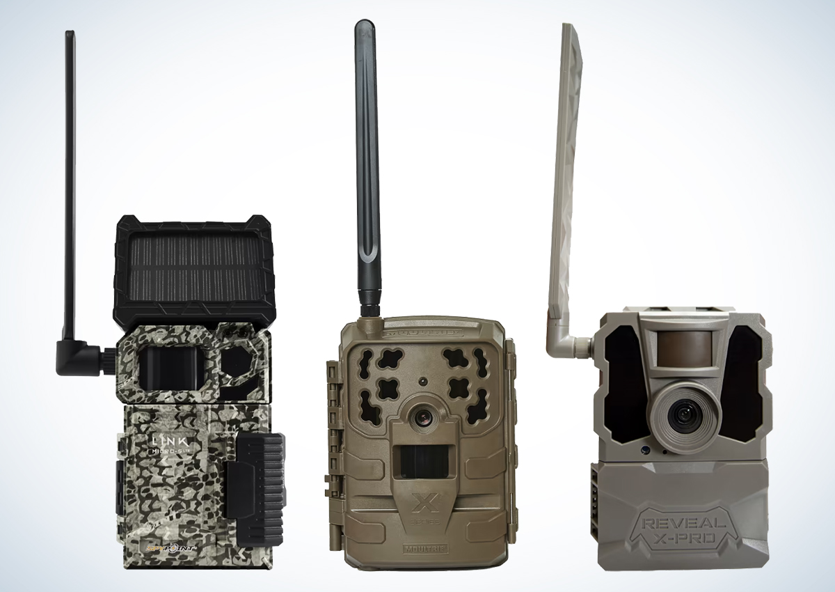The Best Trail Camera Deals this Black Friday Outdoor Life