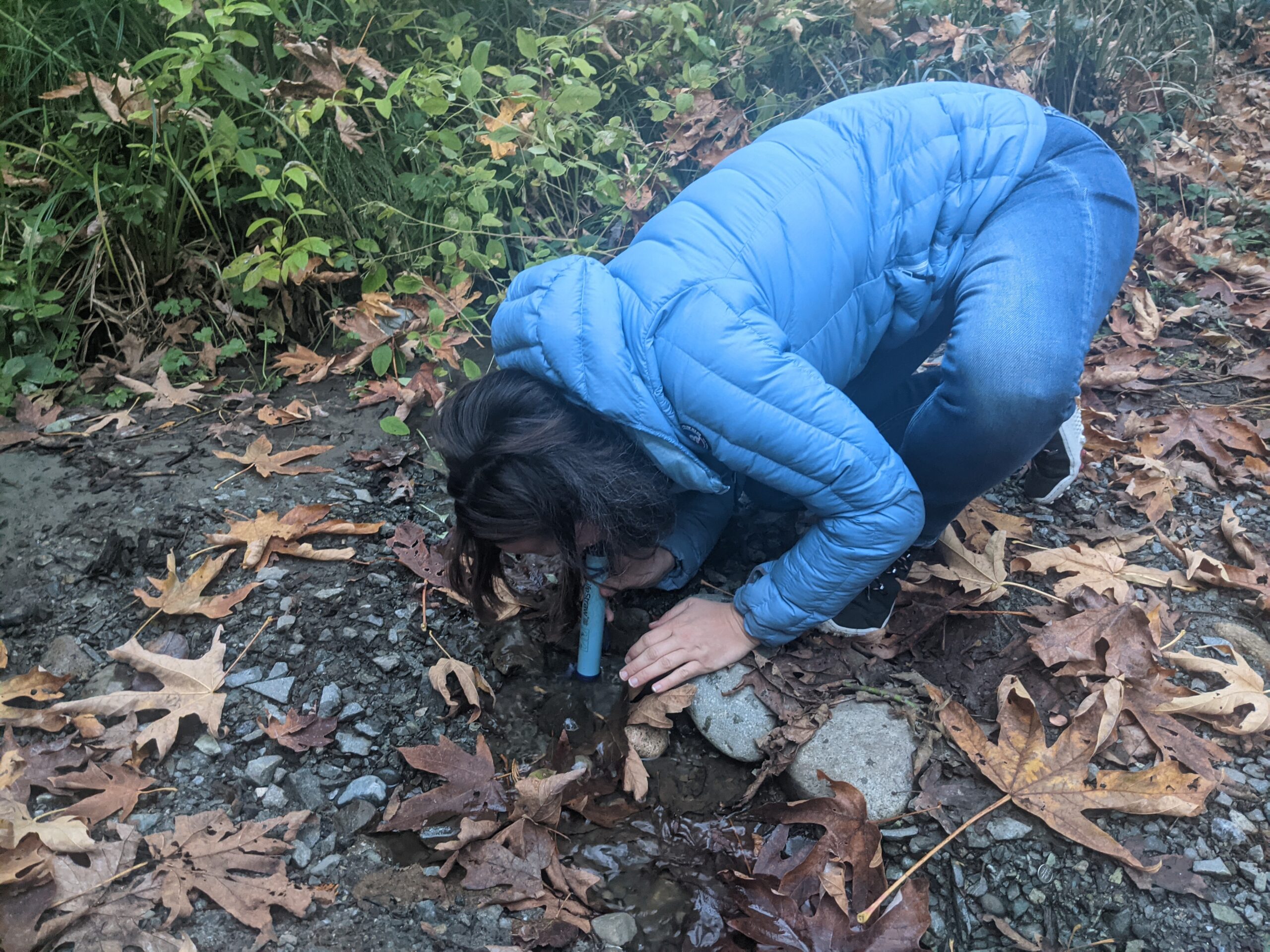 Using the LifeStraw to drink from a dirty puddle