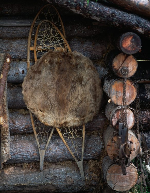 Cemetrary Trapper What Really Happened to Crist Kolby, the Trapper Who Was Killed by ...