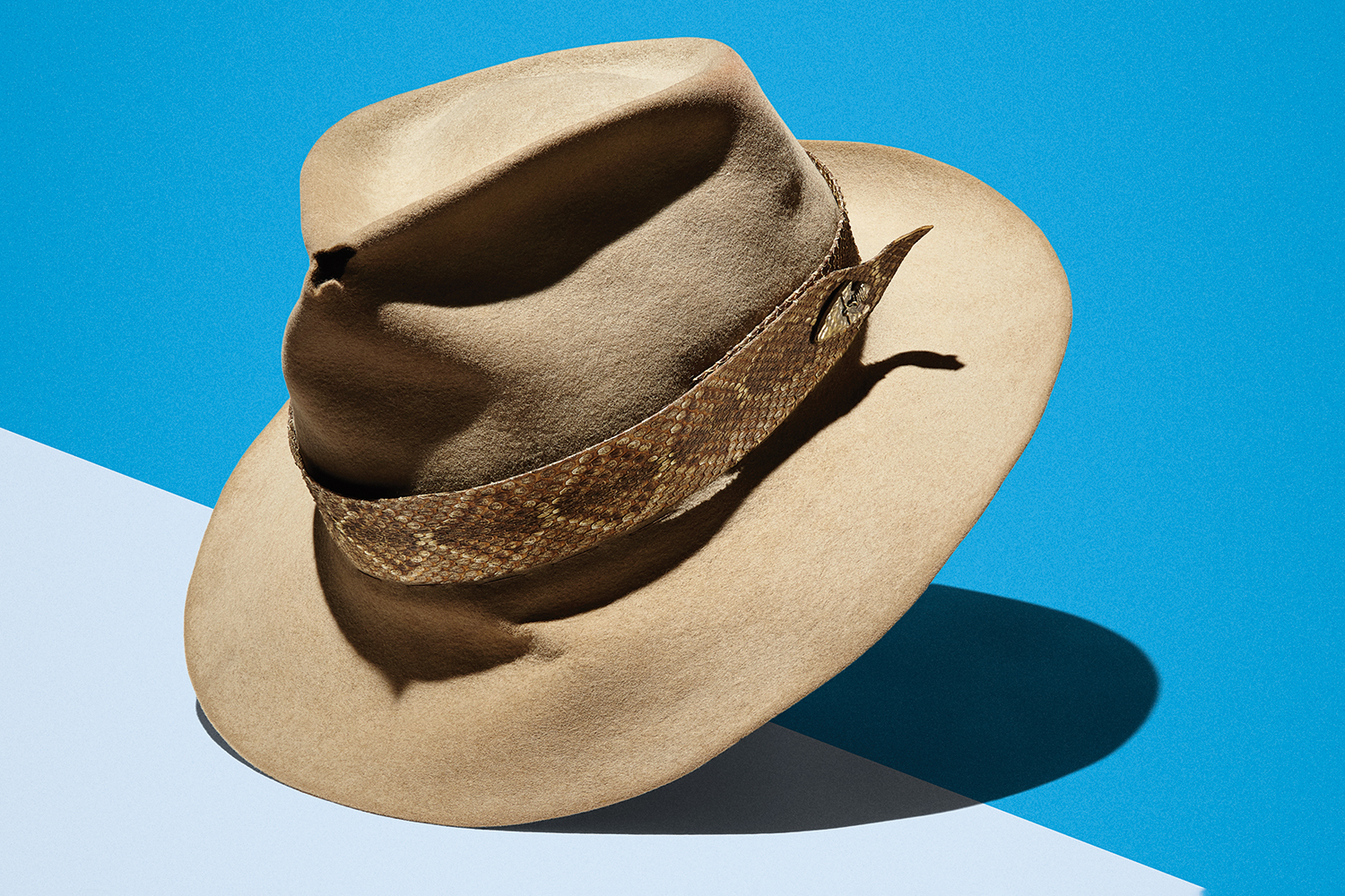 a hat with a snakeskin band