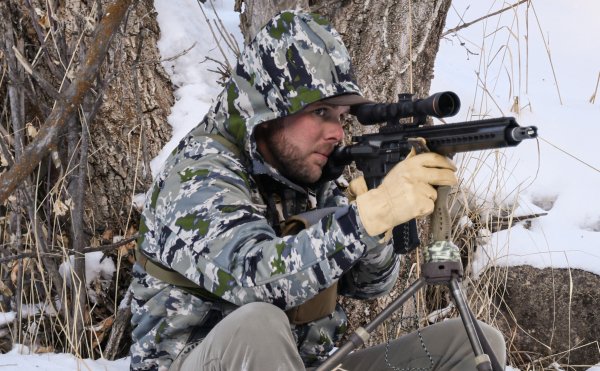 Coyote Hunting Gear: Everything You Need to Get Started