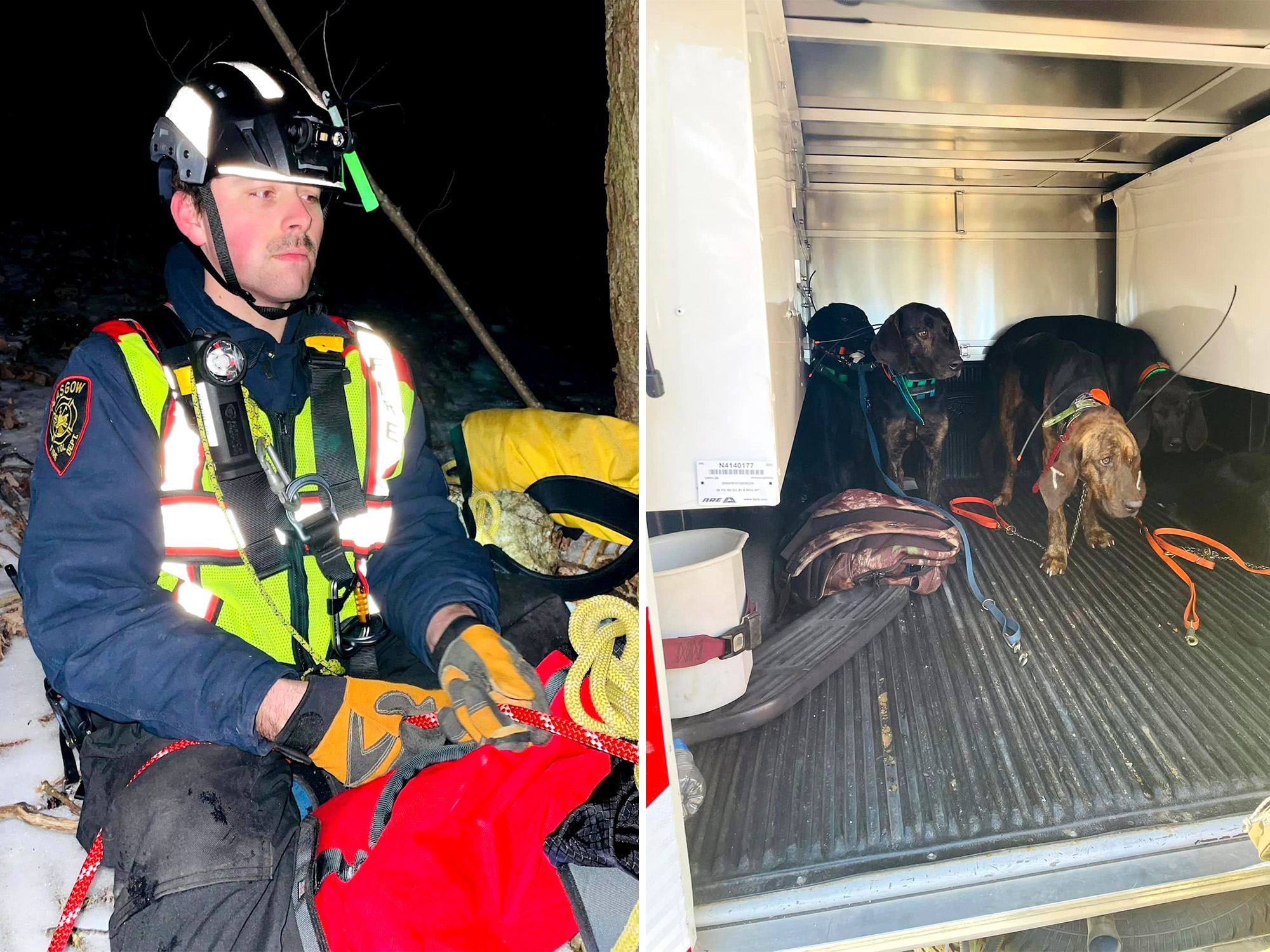 bear hounds rescued 3