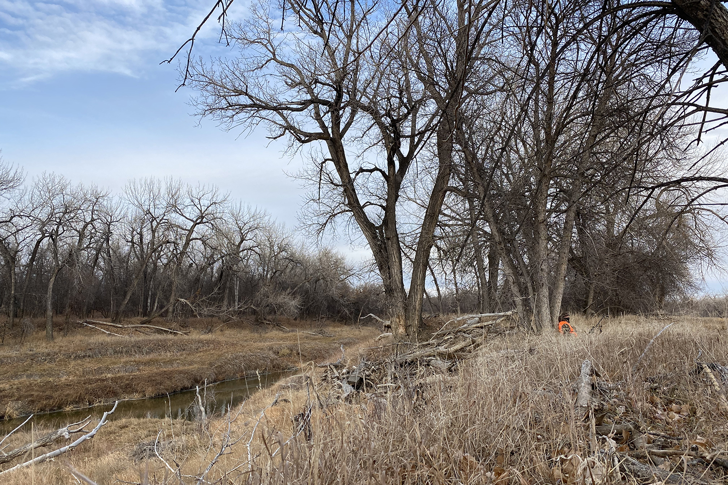 hunter under tree near river