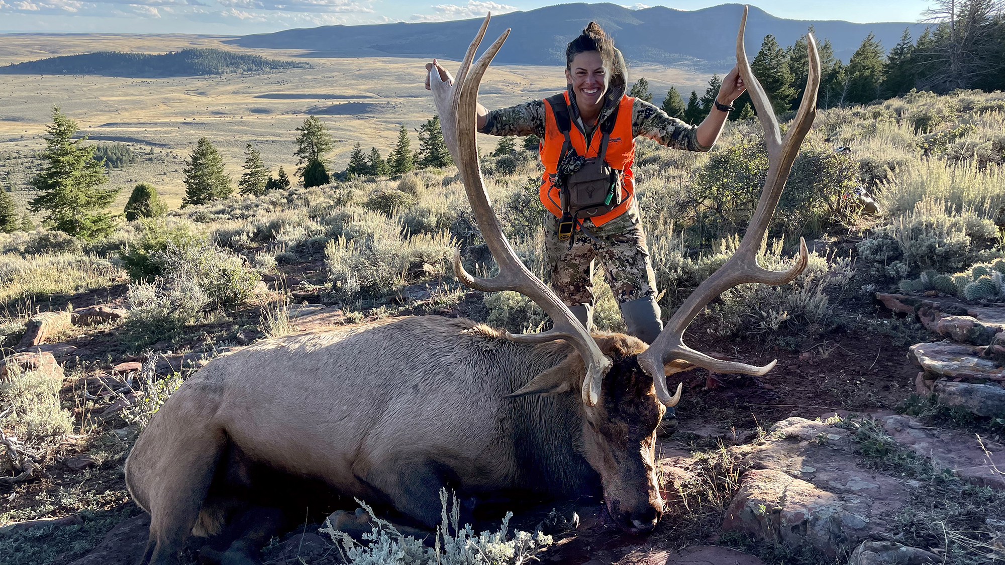 hunter with elk out west