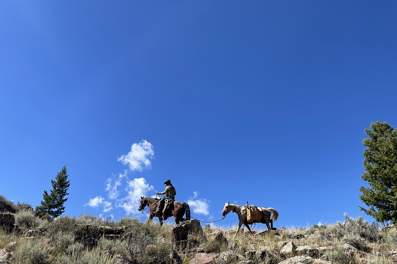 hunter on horse leads horse across ridge