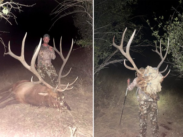Oregon Bowhunter Tags a State Record Bull