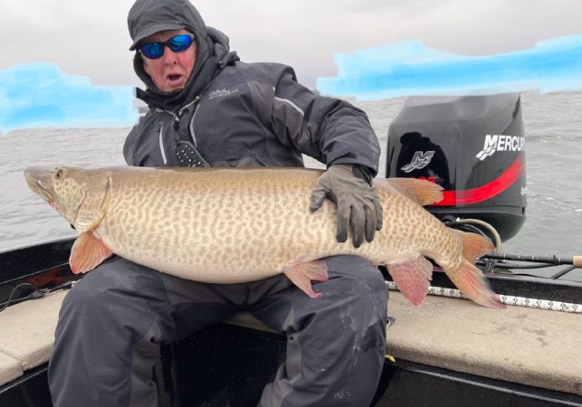Wisconsin Angler Lands One of the Biggest Muskies Ever Caught on Green Bay