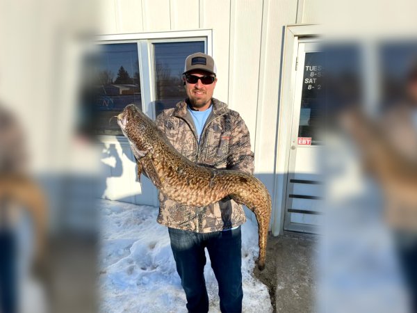 North Dakota Angler Catches State-Record Burbot from Missouri River Tailrace