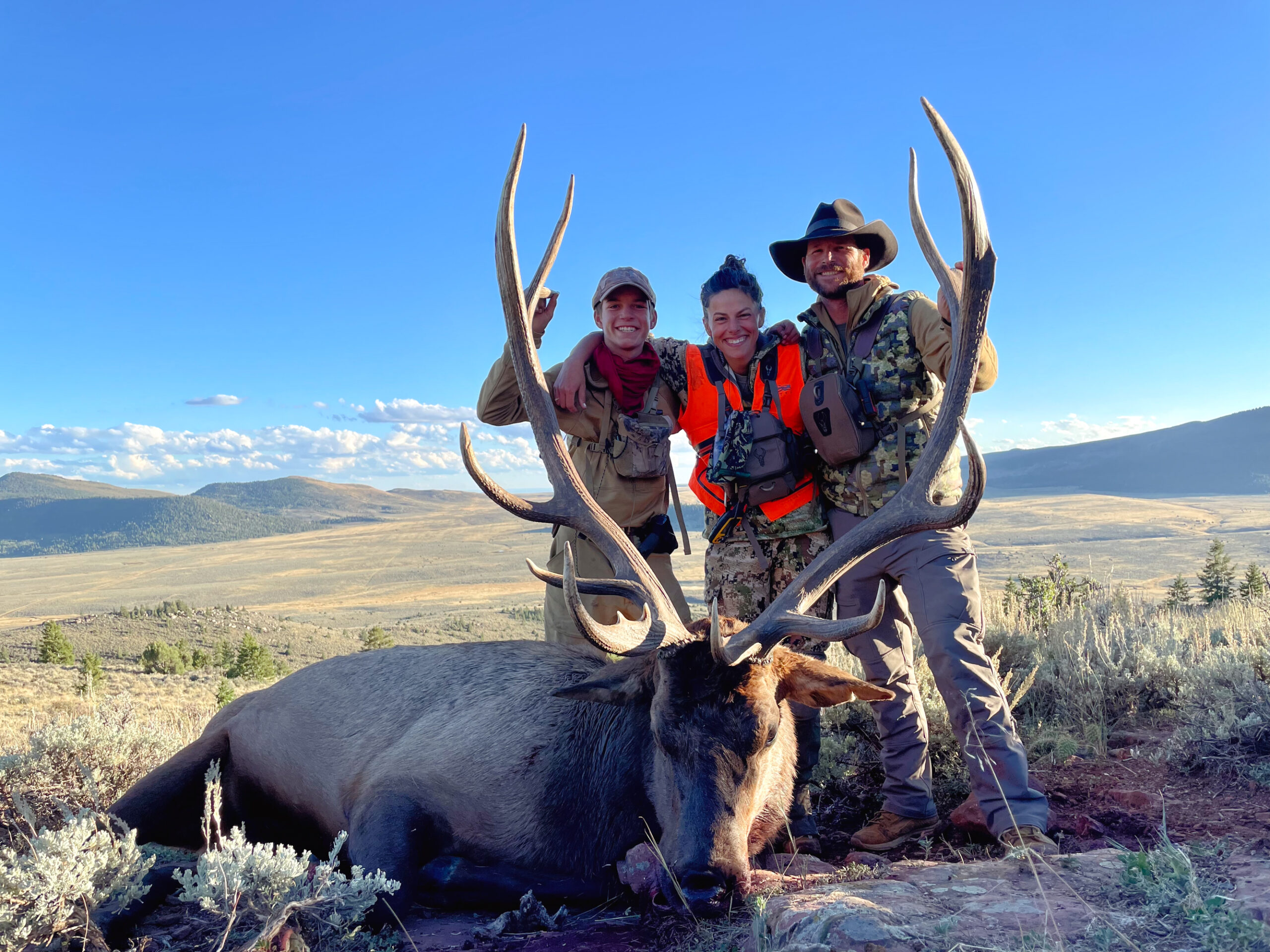 A big Utah bull elk.