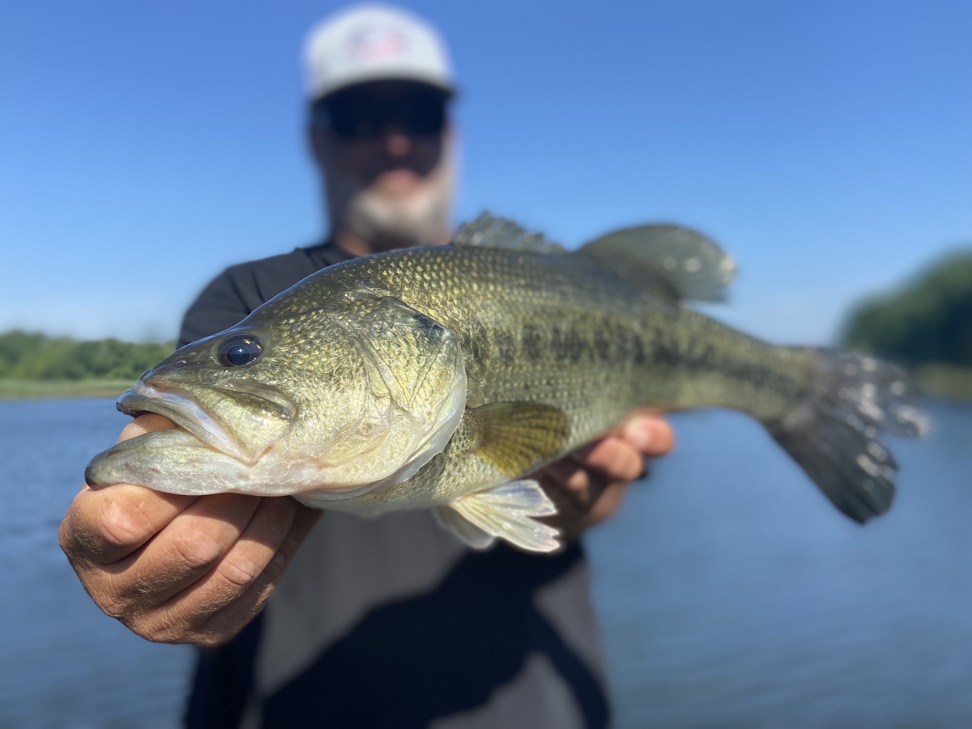 What Do Bass Eat? Outdoor Life