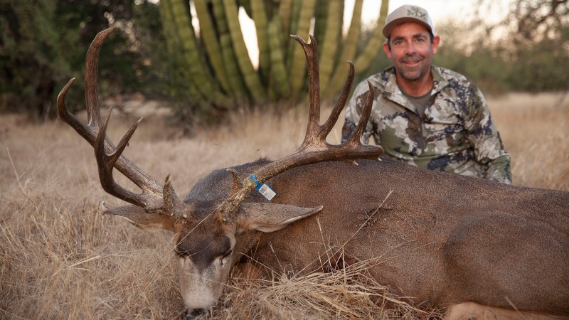 Mexico’s 200-Inch Mule Deer Are Legendary. That Doesn’t Make Them Easy to Kill