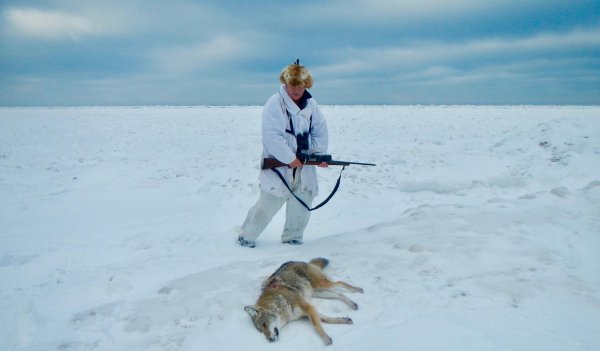 Hunting Coyotes on Frozen Lake Superior