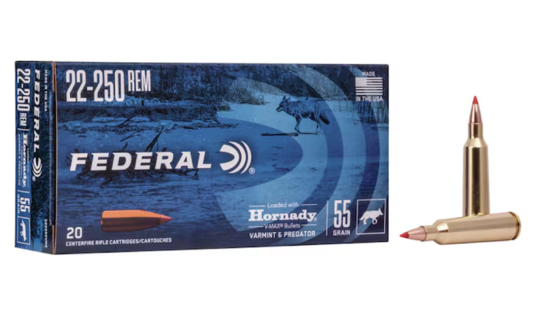 22/250 best coyote calibers