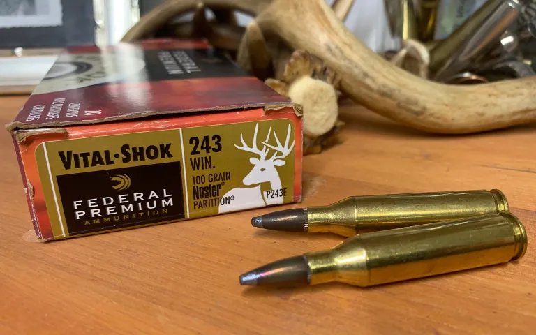 243 winchester best coyote calibers