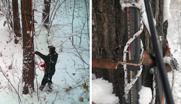 Michigan Hunter Gets Jail Time for Sabotaging Another Hunter’s Treestand, Causing 20-Foot Fall