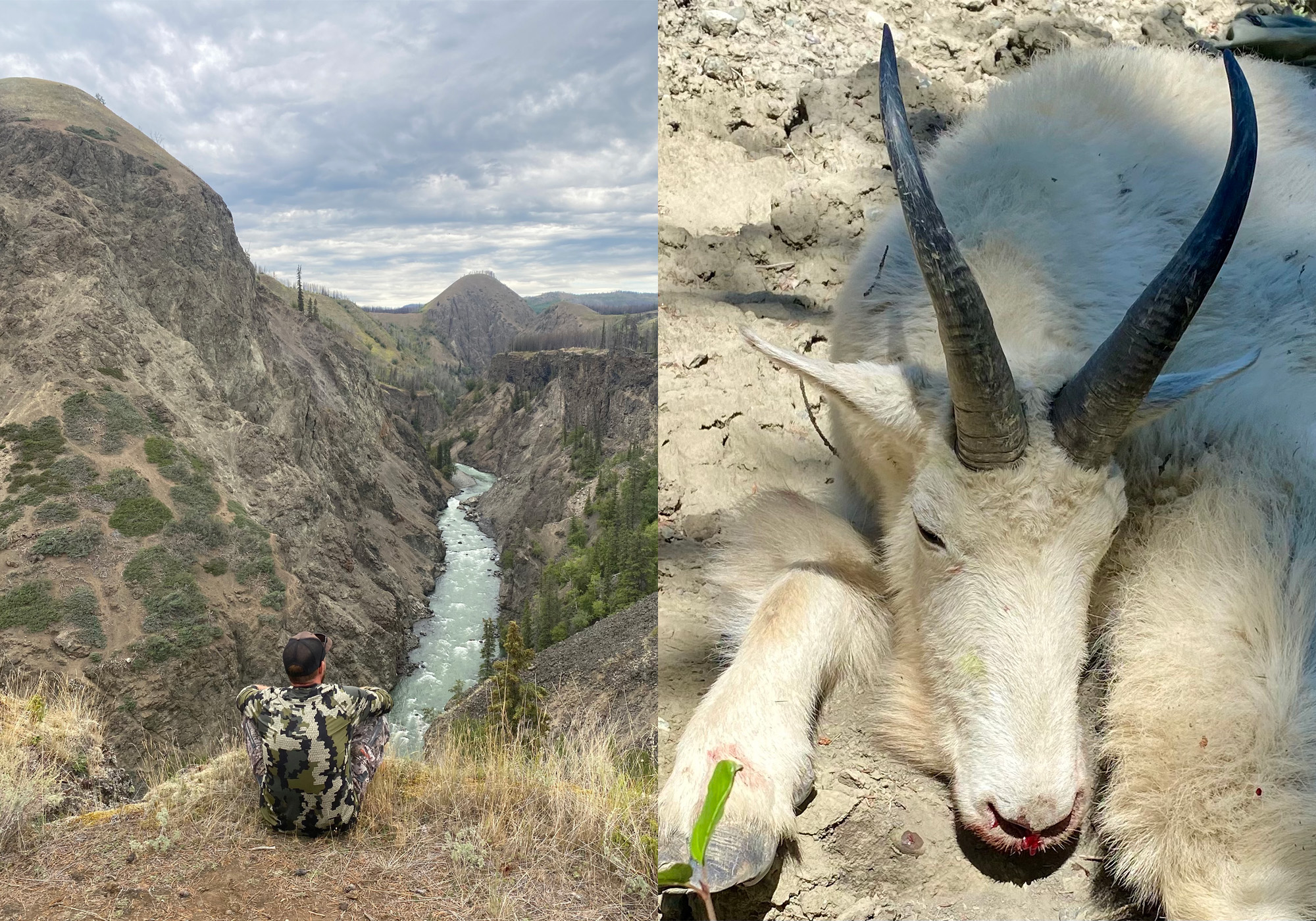 The World Record Mountain Goat | Outdoor Life