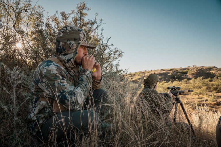 calling coyotes with best coyote calibers